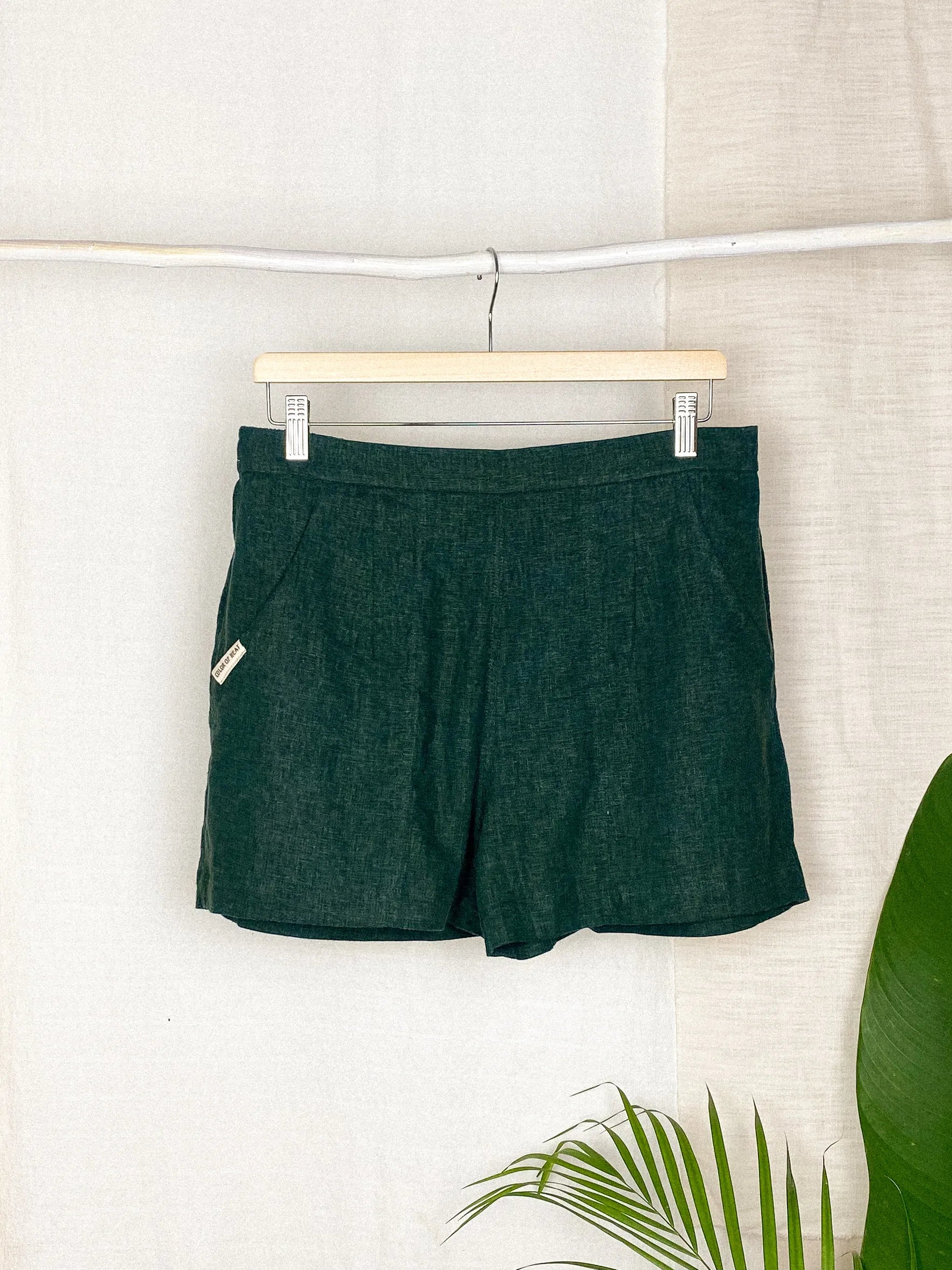 Shorts: XL Regular