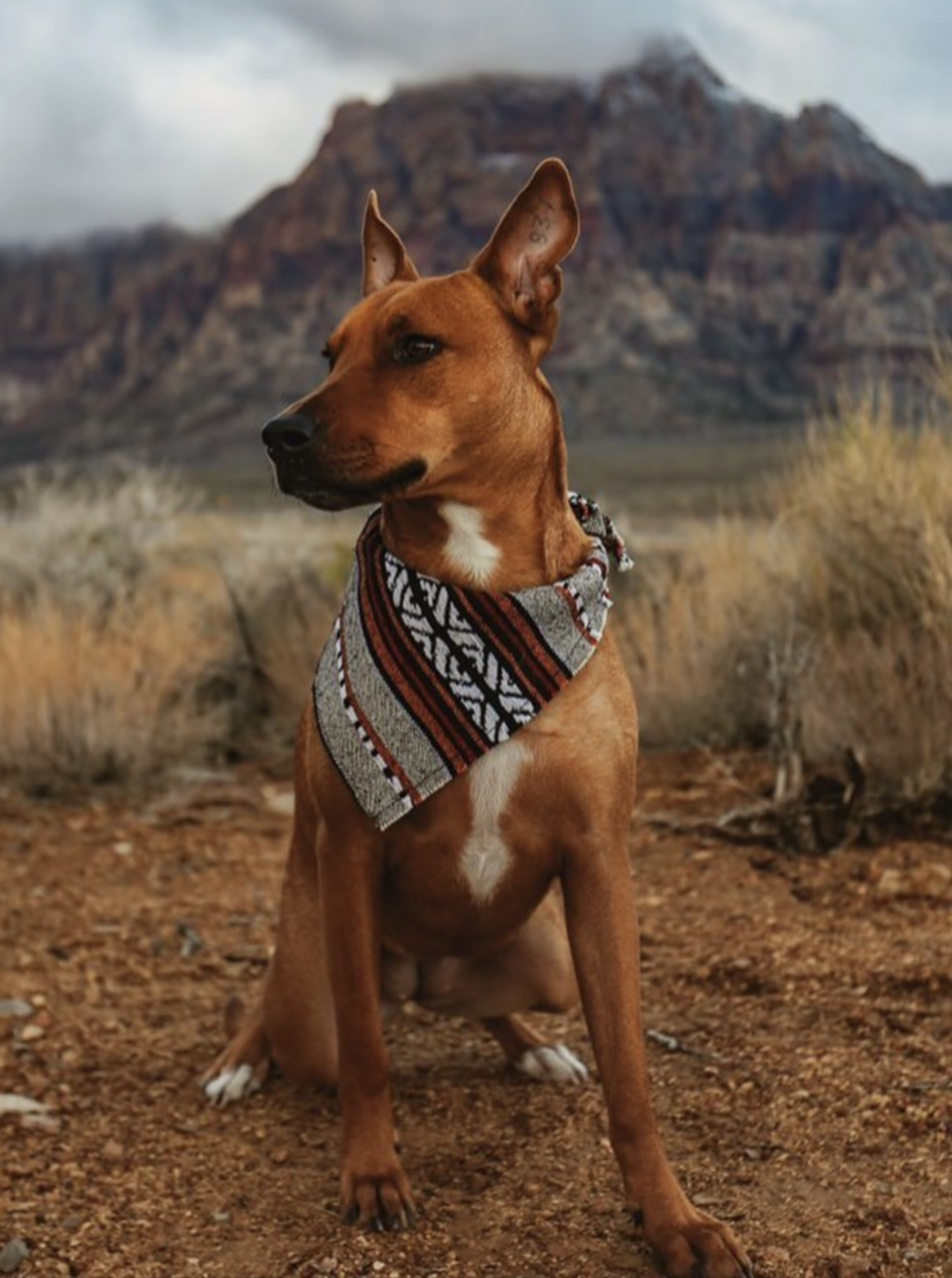 Bandana